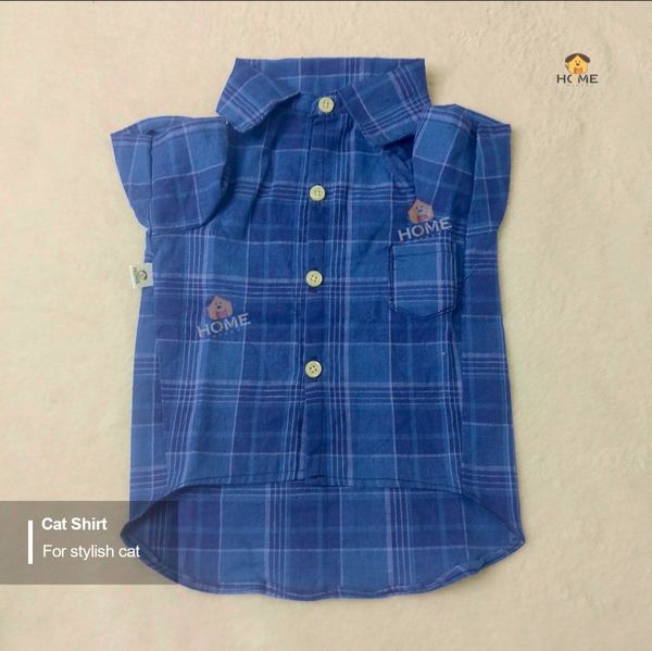 2.5 kg cat shirt