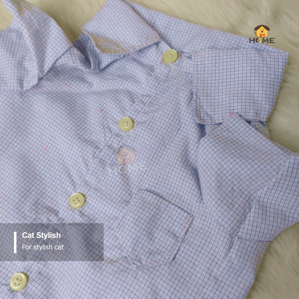 3 kg cat shirt