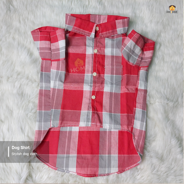 2.5 kg cat shirt