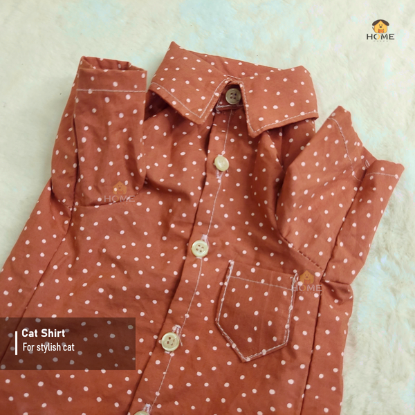 2.3 kg cat shirt