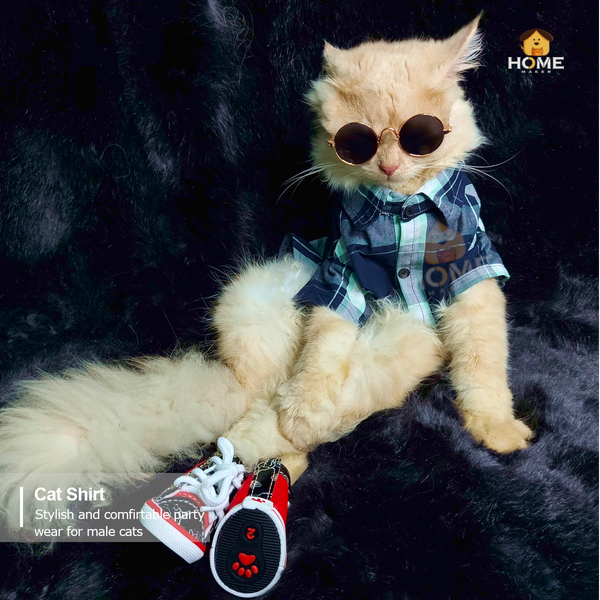 2.3 kg cat shirt
