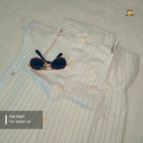 4 kg cat shirt