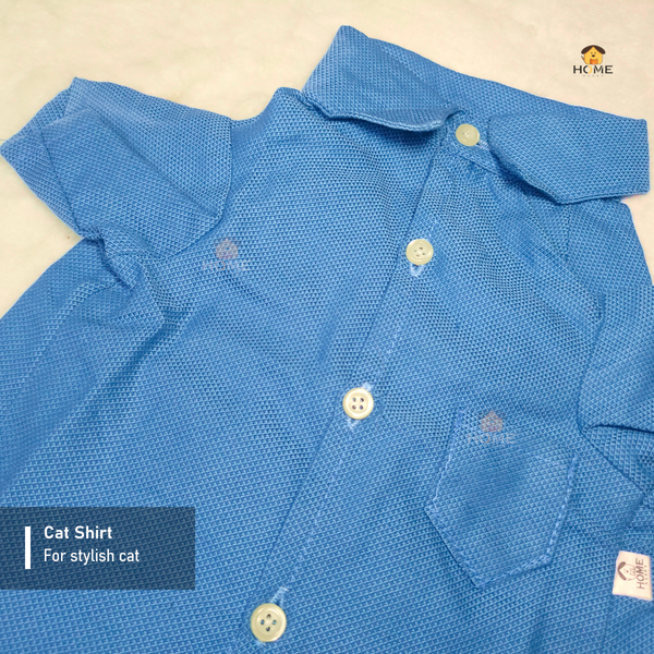 4 kg cat shirt