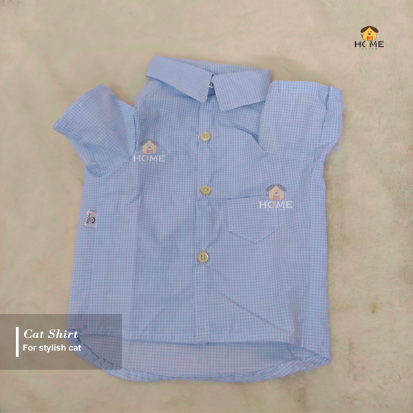 4 kg cat shirt