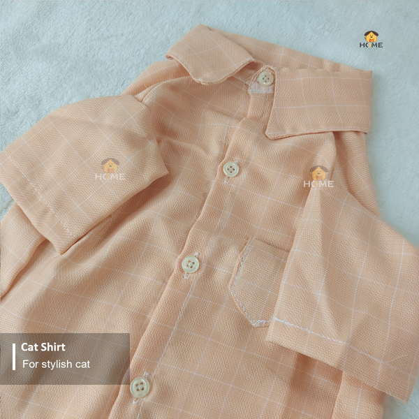 2 kg cat shirt
