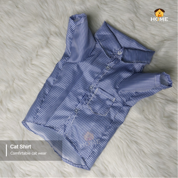 2 kg cat shirt