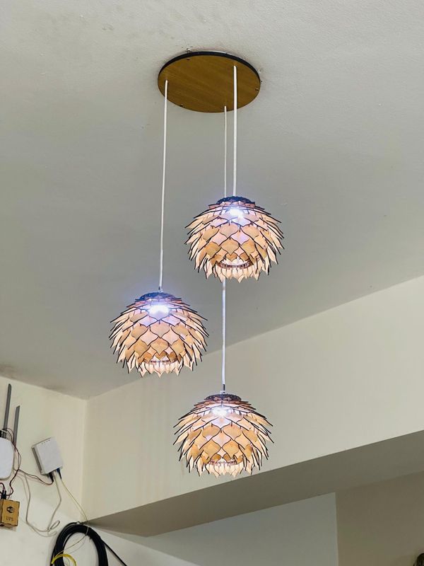 Celling lamp 3 light Combo