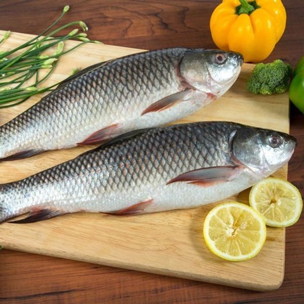 Fresh Rohu Fish –