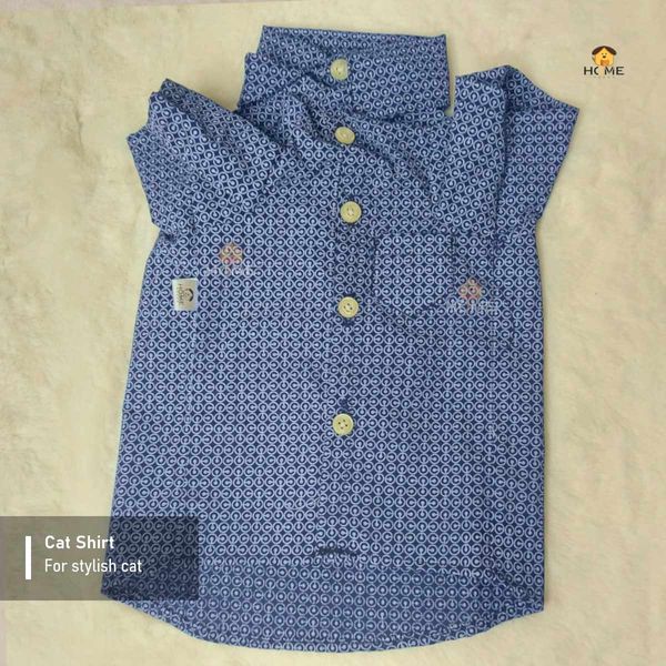 1.7 kg cat shirt