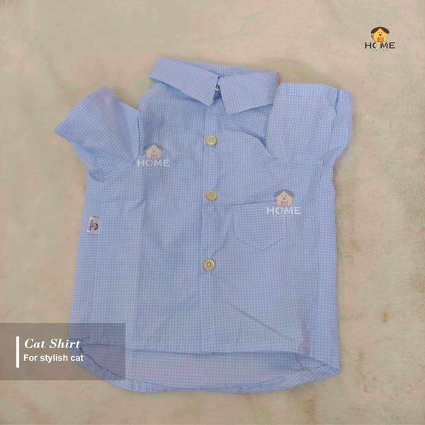 3.5 kg cat shirt