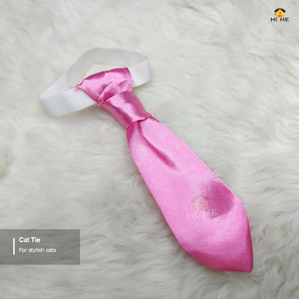 cat tie