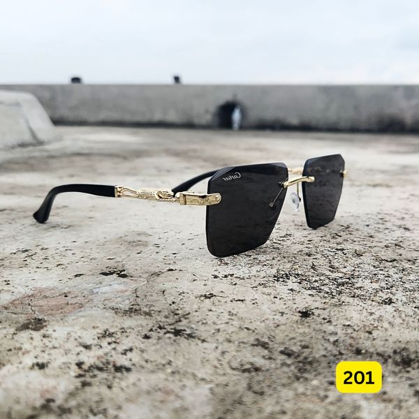201 Premium Brand Sunglass