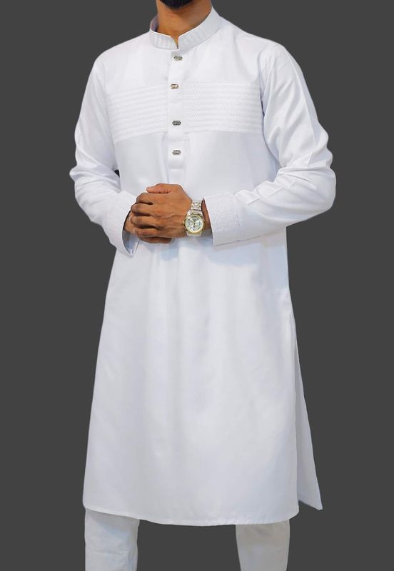 Stylish Sequence Panjabi
