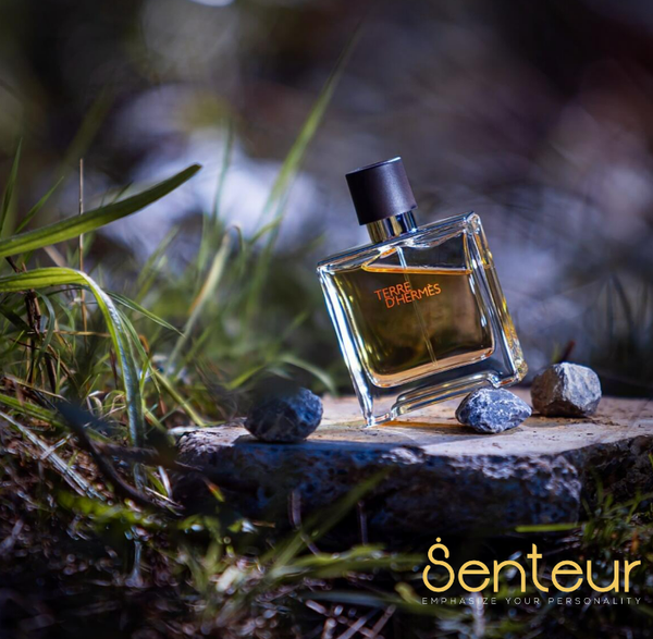 Terre D'Hermes Parfum