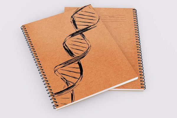 Double Helix (Brown) - Demy Notebook