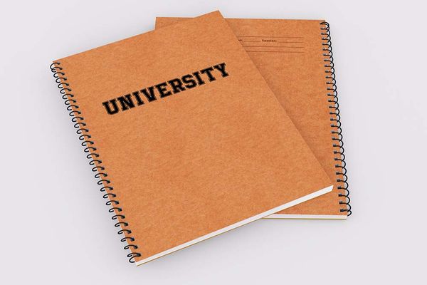 University (Brown) - Demy Notebook