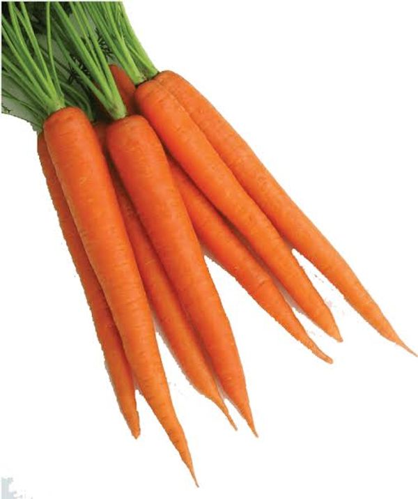Gajor China (Carrot)