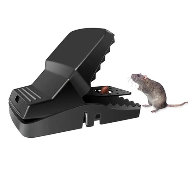 Rat Traps