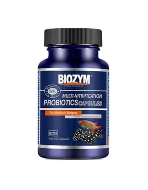 Biozym probiotic capsule ( 10 capsule)