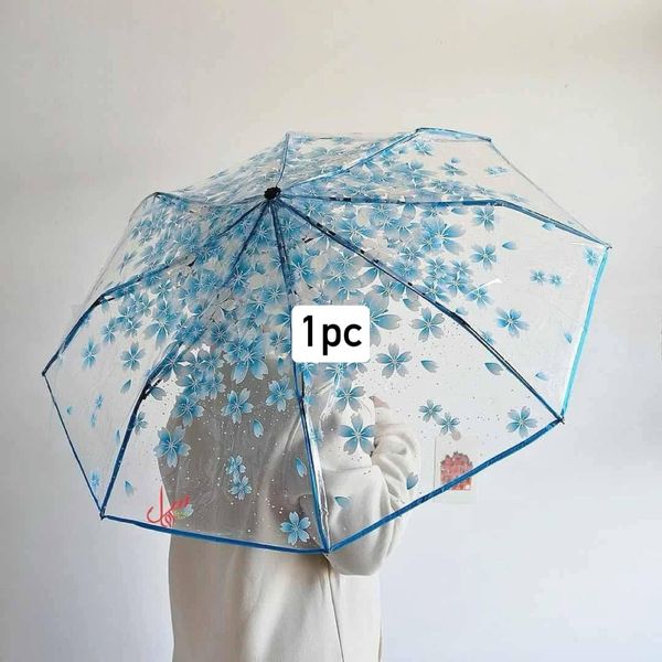 Transparent  umbrella