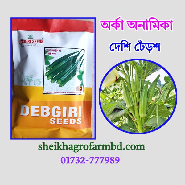 অর্কা অনামিকা - (দেশি ঢেঁড়শ)