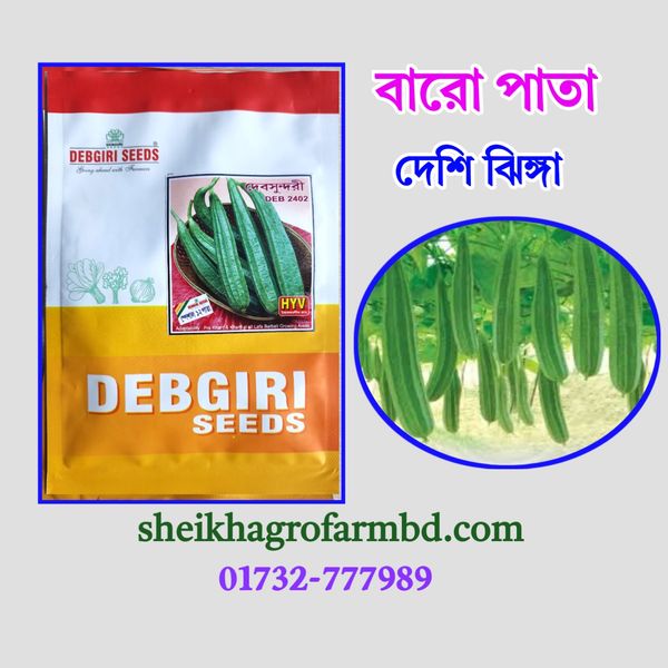 বারো পাতা - (দেশি ঝিঙ্গা)