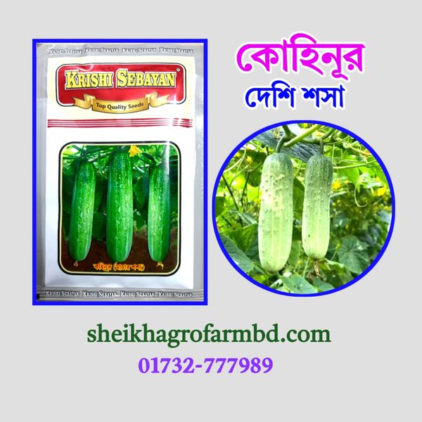 কোহিনূর - (দেশি শসা)