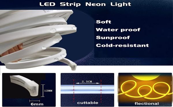 đĨ 5M RGB Phantom Neon LED Strip Light â App & Remote Control | Music Sync | Waterproof