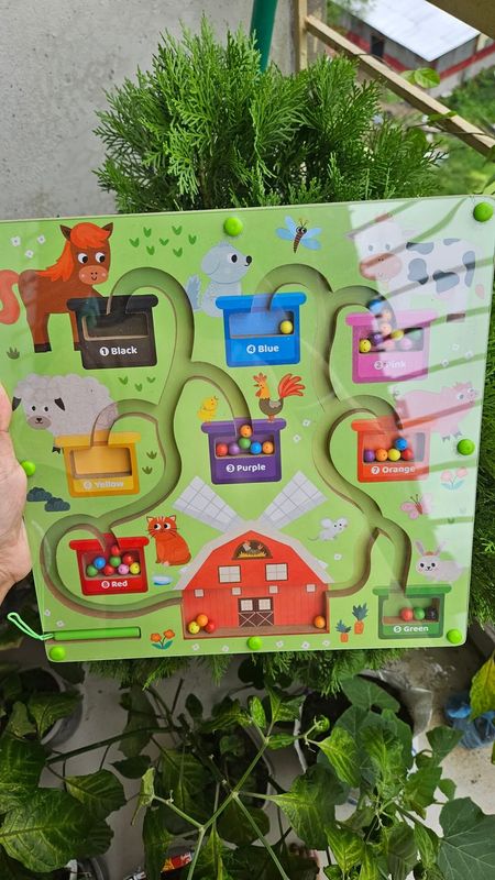 Megnetic colour founding intelligence toy