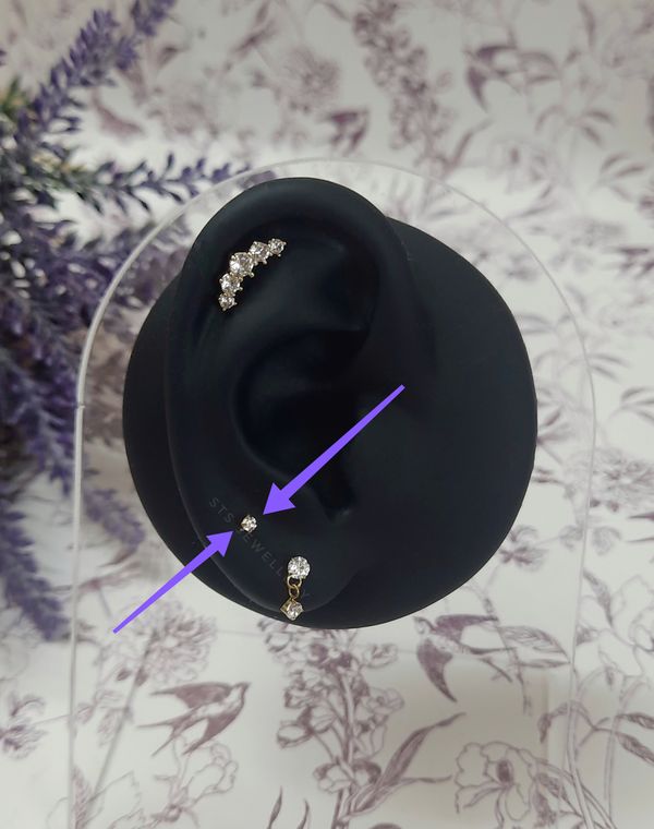 Micro stud earrings