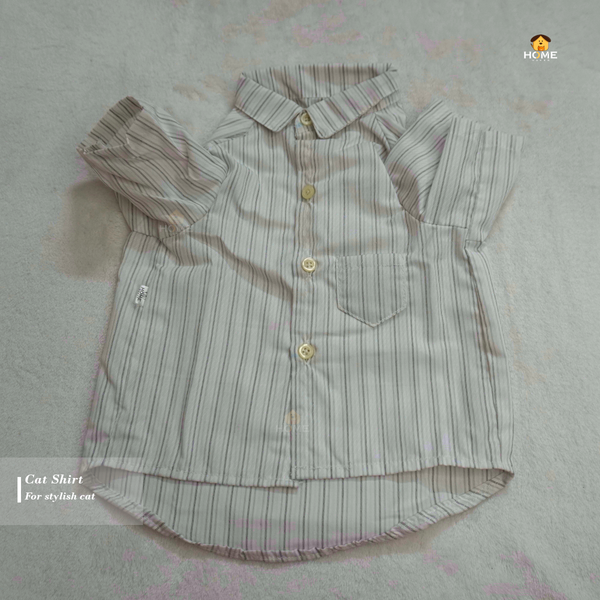6 kg cat shirt