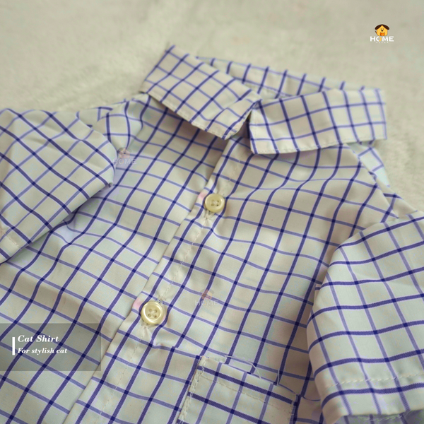 2.5 kg cat shirt