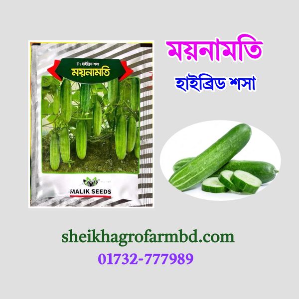 ময়নামতি (হাইব্রিড শসা)