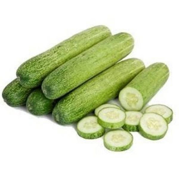 Shosha Hybrid (Hybrid Cucumber)
