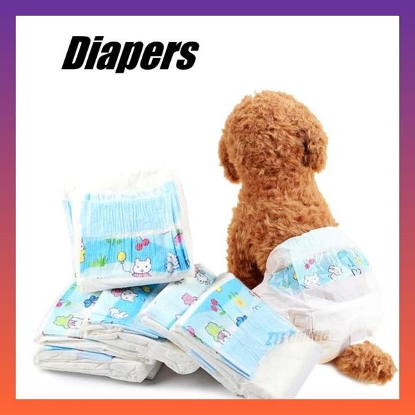 Diaper For Dogs & Cats