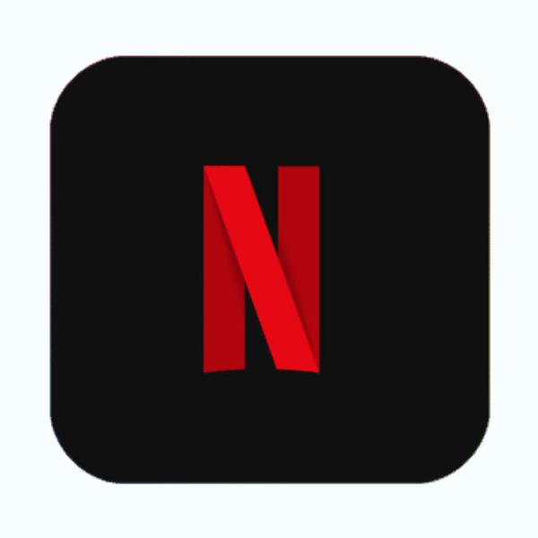 Netflix Subscription