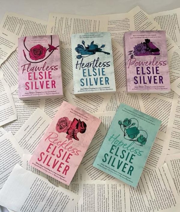 CHESTNUT SPRINGS SERIES by ELSIE SILVER ✨