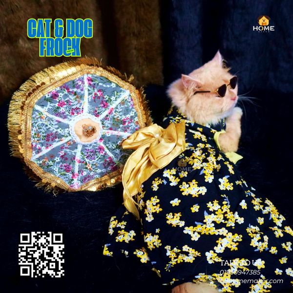 Cat frock 3.5 kg