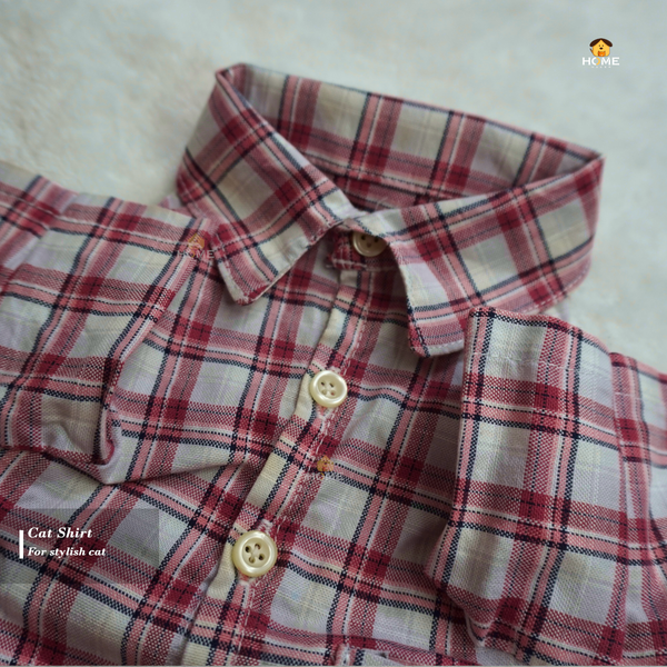 2.3 kg cat shirt