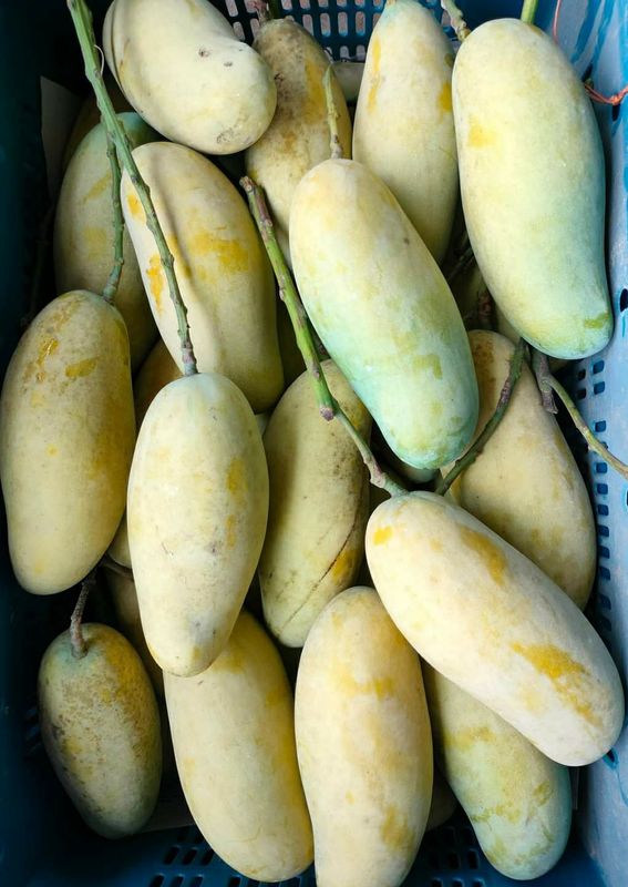 ব্যানানা মেঙ্গো কার্বাইড মুক্ত