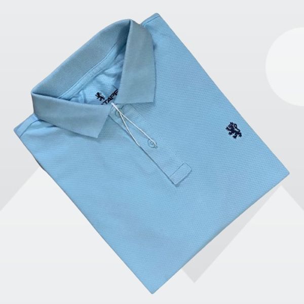 Red Tape Men's Sky Blue Polo T-shirt