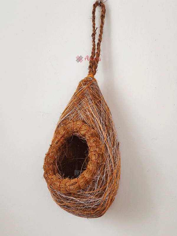 Babui Bird Nest