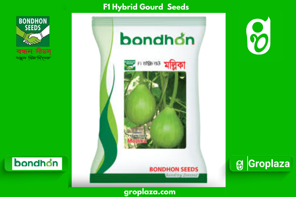 হাইব্রিড জাতের গোল লাউ বীজ মল্লিকা। F1 Hybrid Gourd Seeds Mollika
