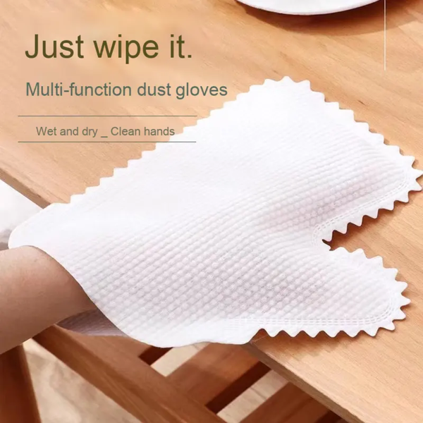 Dust Removal Hand Gloves (10 pcs)