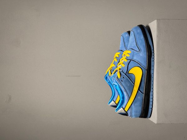 Sb dunk low powerpuff girls