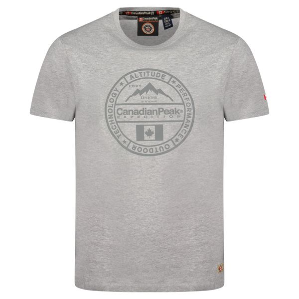 T-Shirt Col Rond avec Impressions et Drapeau GRIS CLAIR