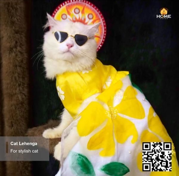 cat lehenga - Image 1