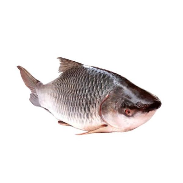 Rui Fish 2kg রুই মাছ