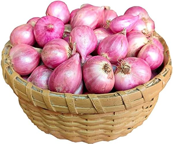 পেঁয়াজ