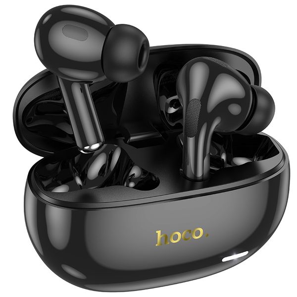 Hoco EW60 Plus ANC TWS Earbuds